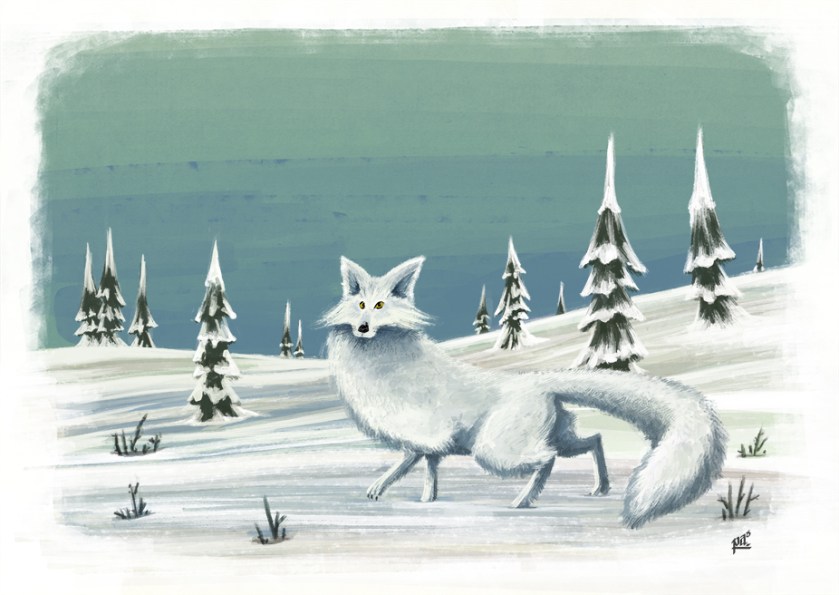 Animalicos Zorro Polar